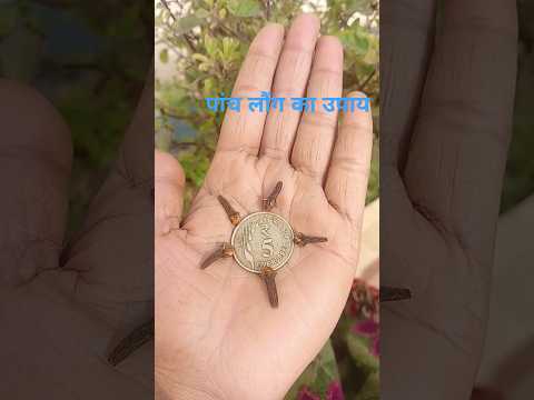 पांच लौंग से करे ये उपाय नकारात्मक ऊर्जा दूर करने के लिए#बाघेश्वरधाम #shortvideo