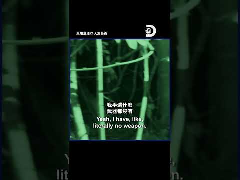 山豬：你們入侵我的土地，還敢給我好好睡覺啊~ #原始生活21天荒島篇