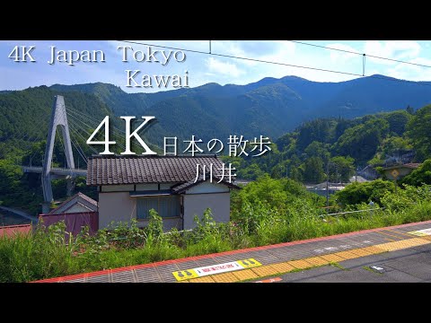 東京 川井駅から始まる散歩 4K HDR