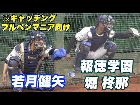 【高知に響き渡る爆音！！オリックス投手陣のブルペン投球に若月健矢 報徳学園出身 堀 福永が捕手として受ける】