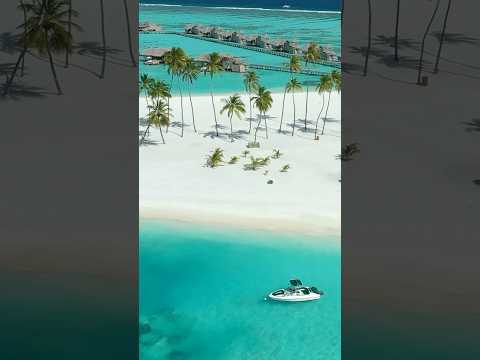 Luxury Resorts Maldives #shorts