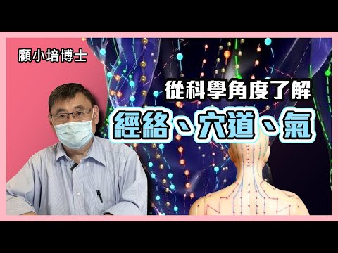 溶積傳導 | 顧小培博士講解什麼是經絡、穴道、氣