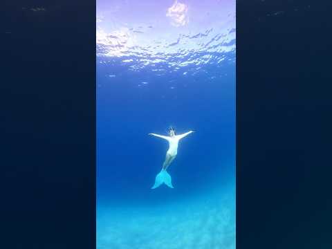 Freediving in Okinawa Island #freediving #mermaid #okinawa #フリーダイビング #人魚 #沖縄本島