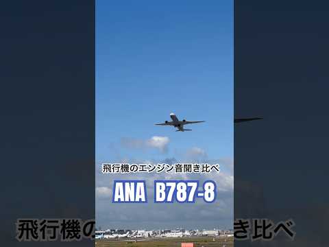 飛行機のエンジン音の違いが分かりますか？5機の聞き比べ👂福岡空港で撮りました。#shorts #飛行機 #福岡