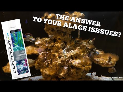 Can this be the answer to your algae issues? 🤷🏻‍♂️