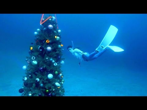 Freediving - 20m deep Christmas Tree!, IOP December 2015