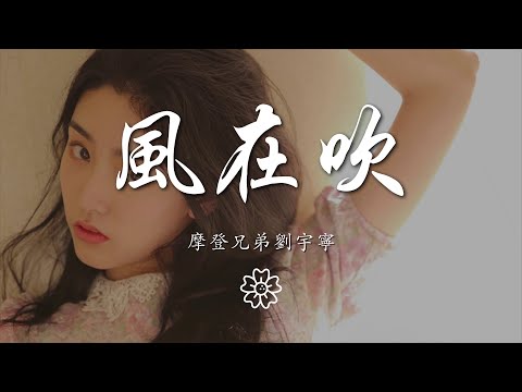 摩登兄弟劉宇寧 - 風在吹『風在吹 我在追 紅橙黃 黑白灰』【動態歌詞Lyrics】