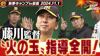 【11月1日秋季キャンプ】藤川阪神火の玉キャンプイン！虎戦士39人が安芸に集結！来年こそは優勝や！藤川監督指導の様子もたっぷりと！阪神タイガース密着！応援番組「虎バン」ABCテレビ公式チャンネル