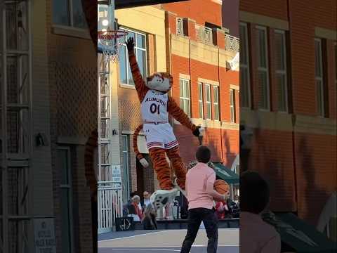 Aubie Has Got Ups! #auburn #aubie #wareagle