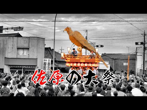 佐原の大祭（2023年）田宿・仁井宿・船戸・下仲町・上仲町