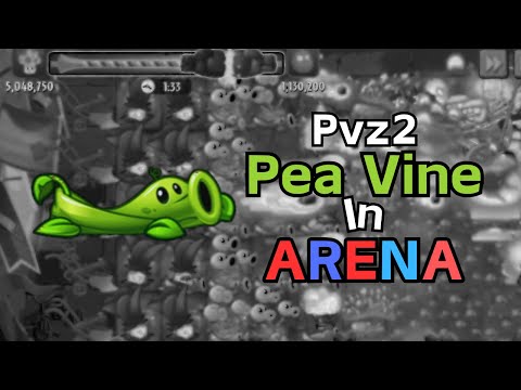 Lv.1 Pea Vine in PvZ2 Arena 【Zomboss Fight】