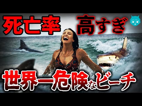 【立入禁止】絶対行くな！サメに超高確率で食べられる世界一危険なビーチ【ブラジル】