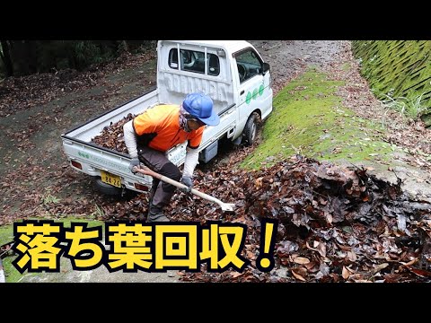 山奥の草刈りと落ち葉清掃！サッパリキレイになりました