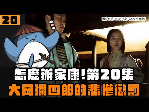 【怎麼辦家康】第20集・歷史解說 | 大岡彌四郎謀反？瀨名跟千代為何碰面？