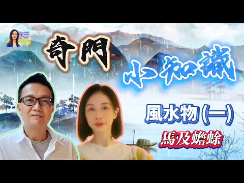 【奇門小知識】擺放風水物注意事項~馬及蟾蜍 | EP0063 20240928 #自己話事 #奇門小知識 #阿娜 #李sir玄宇宙學園 #奇門遁甲 #幾何立極法 #奇門四害 #風水物馬 #風水物蟾蜍