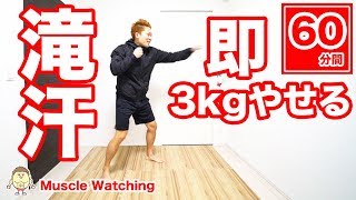 【60分】即3kg痩せたい人集合！滝汗パンチ有酸素運動 | Muscle Watching