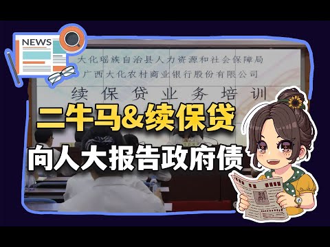 【参考信息第344期】二牛马&续保贷；向人大报告政府债