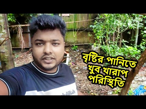 বৃষ্টির পানিতে খুব খারাপ পরিস্থিতি, বন্যা সৃষ্টি হয়েছে ফিস ট্যাংক এর কাছে | Mahid Dream Zoo