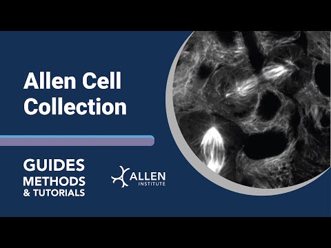 The Allen Cell Collection | Tutorial