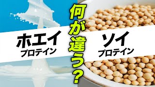 【🔰初心者】ホエイプロテインとソイプロテインの違い・特徴・使い分け方を解説「ビーレジェンド管理栄養士 堀のプチ栄養講座」【ビーレジェンド プロテイン】