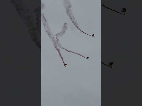 Awe-inspiring U.S. Army Parachute Team, the Golden Knights, at Battle Creek Air Show in Michigan!