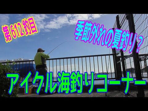 釣り動画ロマンを求めて 612釣目