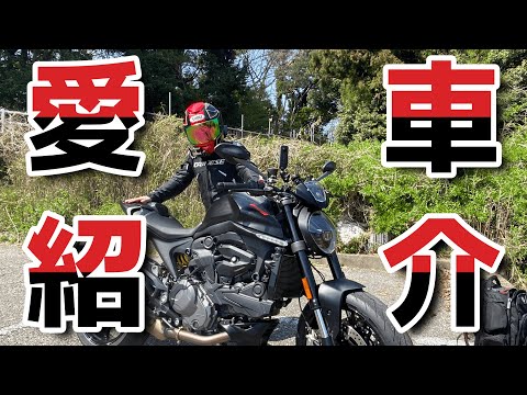 【愛車紹介】Ducati 新型Monsterのカスタムしたところと外観チェックゥ！