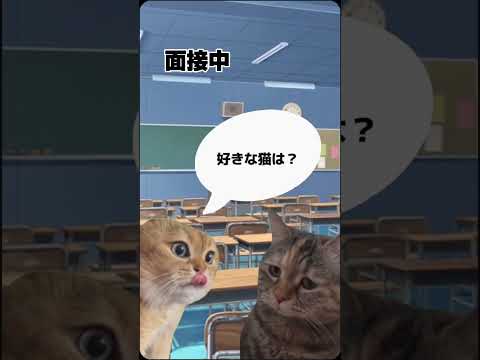 高校受験の面接 #猫ミーム #実話