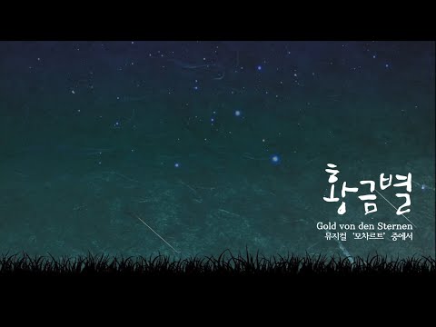 /뮤지컬넘버/ 황금별 – 뮤지컬 모차르트! (Cover by 노래해주리🎵)