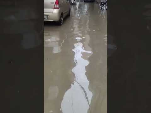 Delhi Laxmi Nagar after first baarish #aap #aamaadmiparty #mcd #delhi #kejriwal #rain #trending