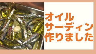 【つまみに最高！】オーブンで簡単！オイルサーディン