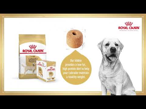 Royal Canin - Pets at Home