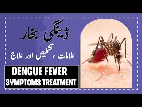 Dengue Fever , Symptoms, Diagnosis &Treatment#dengue #dengueawareness #denguefever #denguemosquito