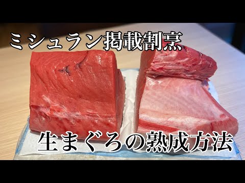 ミシュラン掲載店の生まぐろ熟成方法！#熟成#和食#ミシュラン