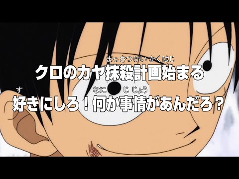 敵であるキャプテン・クロに理解を示すルフィ【ワンピース】