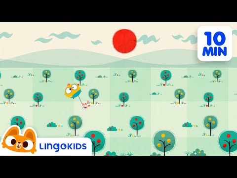 Hey Baby Bot 😎 The SUN is FUN! ☀️ | Cartoons for Kids | Lingokids