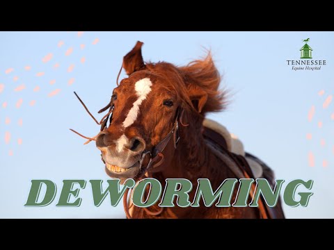 Deworming Your Horse