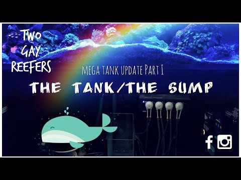 Mega Tank Update #1 - The Tank/The Sump