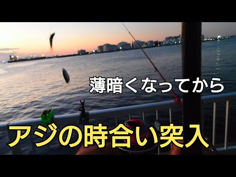 昼間の明るい時間帯に!?周りで１時間でスズキが4匹も!!夕まずめ時でアジ連発！