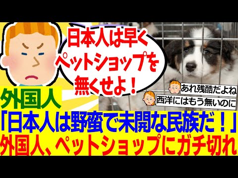 【海外の反応】外国人「日本ではまだペットショップが存在するのか！？野蛮すぎるだろ！」【外国人の反応】