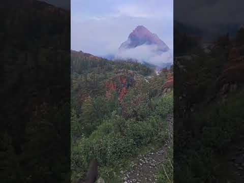 Horseback Riding Through Mt. Rainier’s Majestic Trails!