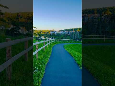 A small evening walk | Nova Scotia #shortsfeed #shortsviral #garden #trending #canadatravelvlog