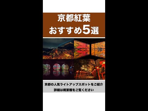 京都紅葉ライトアップ2021おすすめ5選【京都旅行】Kyoto Autumn Foliage Light-up 2021: 5 recommendations