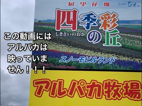 【北海道】四季彩の丘。行くのが早すぎました。そしてアルパカも見ることができませんでした。【Hokkaido】