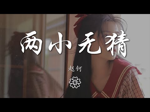 趙鈳 - 兩小無猜『Say sorry sorry night』【動態歌詞Lyrics】