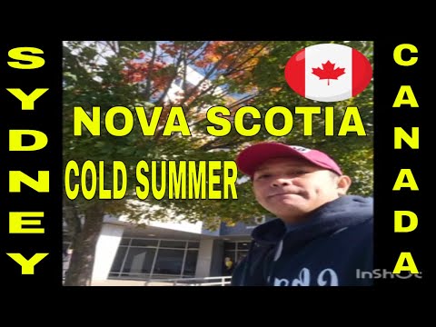 Vlog #1062 Sunny Day  But Very Cold At  Sydney Nova Scotia Canada