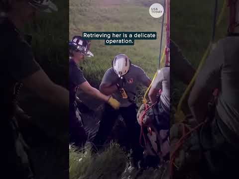 Rescuers pull trapped dog from a deep, dark hole | Humankind #shorts #goodnews