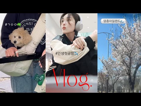 돌아가고 싶은 그 날씨의 VLOG🌸 (영종아일랜드🌊, 현미 귀여움 모먼트🐶, 대구 맛집&카페☕️, 인생 첫 시리즈..)