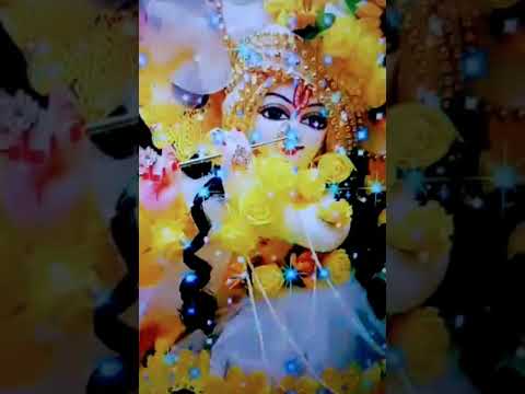 सभी को शुभ रात्रि हरे कृष्णा राधे राधे#love #srikrishna #shyam #youtube #viral#shortvideo