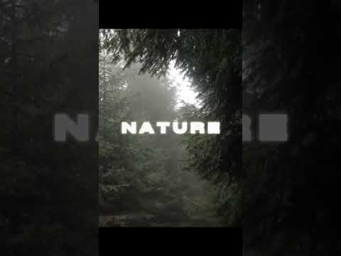 Suzume aesthetic song (NATURE IS BEAUTIFUL)